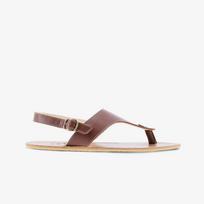 Be Lenka Promenade Dark Brown - Dydis 41 (du4dsruio1 Laisvalaikio batai)