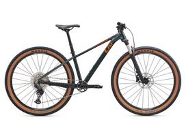 Kalnų dviratis Liv Tempt 29 0 29" Asphalt Green – S, S