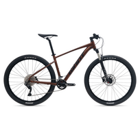 Bicycle GIANT Talon 29 1 GE, Hematite (L)