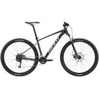 Bicycle GIANT Talon 29 2, Phantom green (L)