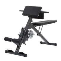Exercise bench FINNLO by Hammer Ab AND Back Trainer