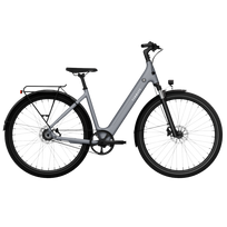 TENWAYS Electric bicycle CGO800S, Pebble Grey