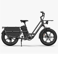 Electric cargo bike FIIDO T2 Longtail Cargo, Grey