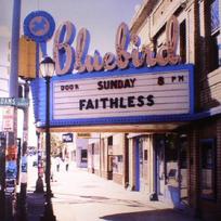 Vinilinė plokštelė FAITHLESS "Sunday 8 PM" (2LP)