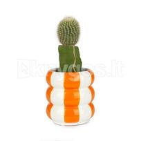 Keramikinis vazonas „Floats“, oranžinis, 12 cm