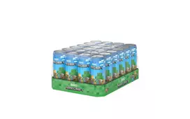 Minecraft Chorus Fruit, Golden Apple ja Melon, 330 ml, 24-pack