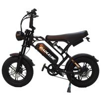 Naujas F2 ES sandėlyje 500 vatų elektrinis dviratis su 48V 13Ah baterija, 16 colių padangomis, peties pakaba, maksimaliu greičiu 45 km/h, mechaniniu diskinio stabdžiu 500W 48V  13AH juoda