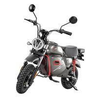 „iScooter Y18“ elektrinis motociklas, 48 ​​V 20 Ah akumuliatorius, 15 colių visureigio padangos, išmanusis NFC atrakinimas pilka
