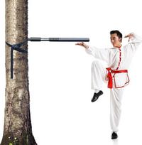 DYK&NX Wing Chun manekenas kovos menams, nešiojamas Wing Chun manekenas, mokymo medinis manekenas su spyruokline ranka, 3 modeliai, skirti medžiui ar kietam objektui (spalva: 1 spyruoklinė ranka)