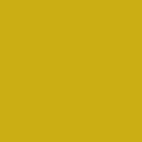 Dažai JD Yellow 0,75l ERBEDOL