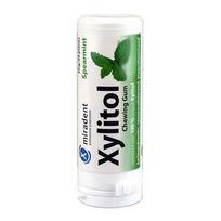 Xylitol becukrė kramtomoji guma šaltmėčių skonio, 30 g.