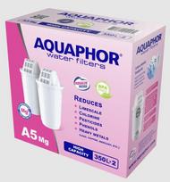 Water filter Aquaphor B100-25 Maxfor (set 2 pcs)