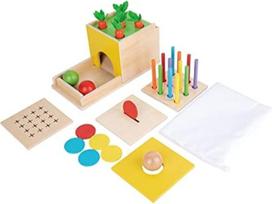 Adena Montessori žaislas nuo 1 2 3 metų, Montessori žaislas kūdikiui apima morkų derliaus žaidimus, Montessori monetų dėžutė 6-12 mėnesių, motorinių įgūdžių žaislas 6 mėnesiams, nuolatinė objektų dėžutė (5-in-1)