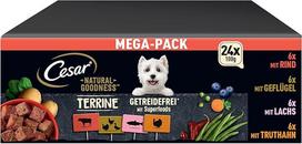 CESAR® NATURAL GOODNESS™ Schale Multipack Mega-Pack Terrine Getreidefrei mit Superfoods 4 Varietäten 24 x 100g