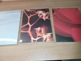 I-DLE I burn Fire 4-asis mini albumas (Neatidaryta) - Bundle