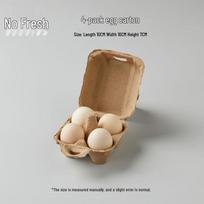 Plaušienos kiaušinių dėžutės (4 kiaušinių talpa) 4-Egg (100 pieces)