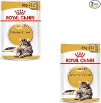 "Royal Canin Maine Coon Adult", dviguba pakuotė, 2 x 12 x 85 g, drėgnas ėdalas katėms, specialiai sukurtas pagal Meino meškėnų veislės kačių poreikius, pritaikytas energinei vertei