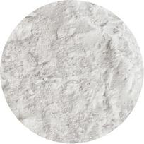 Bongiovanni Bontà Naturali Agavų sirupo milteliai 5 kg Ekologiškas