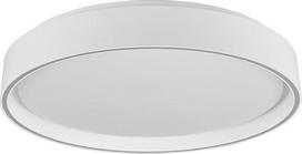 Reality Leuchten Felis R64391031 LED lubų šviestuvas plastikinis matinės baltos spalvos su 24 W LED nuotolinio valdymo pulteliu