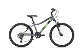 Dviratis Berry 24''