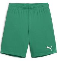 Pums Šortai Paaugliams TeamGoal Shorts Jr Green 705753 05
