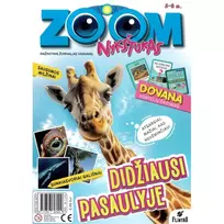 Žurnalas ZOOM NYKŠTUKAS