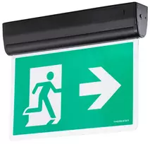 Energijos taupanti LED lempa avarinei 3 val. 3W, 6000K, 50 liumenų, 30 m, IP40, IK05, juoda