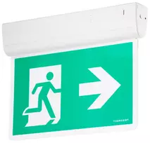 Avarinė LED lempa 3 val. 3W 6000K 50Lm 30m IP40 IK05 balta