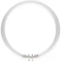 Apskritimo formos fluorescencinė lempa 2GX13 22W/840 T5 D230