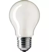 Kaitrinė lemputė E27 25W A55 230V FR