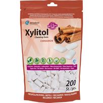 Xylitol kramtomoji guma cinamono skonio, 200 vnt.
