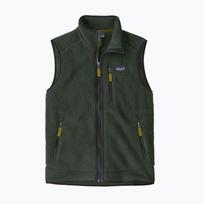 Vyriška liemenė Patagonia Retro Pile Fleece old growth green