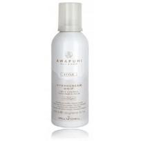 Paul Mitchell Awapuhi Wild Ginger Hydrocream plaukų formavimo putos 200 ml.