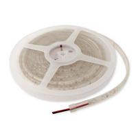Synergy 21 S21-LED-F00037 Neon tube 300 lamps Universal strip light Indoor/Outdoor 5 m (S21-LED-F000