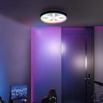 "Lightbox" LED lubų šviestuvas su tyliu ventiliatoriumi ir RGB rėmelio šviesa, skersmuo 48, juodas lubų šviestuvas, žaidimų šviestuvas, reguliuojamas, nuotolinio valdymo pultu, 48 W, 2700-6500 K, 6400 lm, pagamintas iš metalo ir plastiko