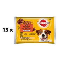 Šunų ėdalo rinkinys PEDIGREE ADULT, maišeliuose, 4 x 100 g x 13 vnt. pakuotė