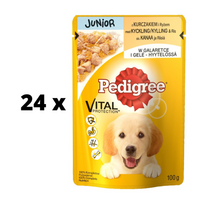 Šunų ėdalas PEDIGREE Junior, su vištiena, maišeliuose, 100 g x 24 vnt. pakuotė