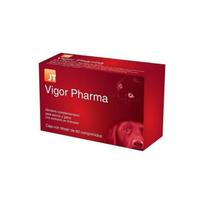 JT Pharma Vigor Pharma vitaminų, mikroelementų, mineralų ir aminorūgščių kompleksas šunims ir katėms, 60 tablečių