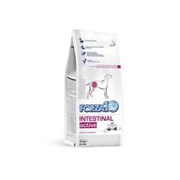 Forza10 Intestinal Active sausas maistas šunims, sergantiems virškinamojo trakto ligomis, 10 kg