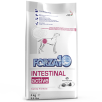 Forza10 Intestinal Active sausas maistas šunims, sergantiems virškinamojo trakto ligomis, 4 kg
