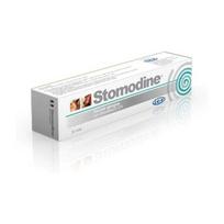 I.C.F. Stomodine antiseptinis dantenų ir burnos ertmės gelis, 30ml