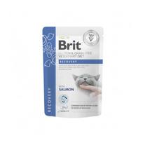 Brit GF Veterinary Diets Recovery drėgnas maistas katėms, greitesniam atsistatymui, 85 g