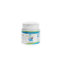 Canina V25 N30 vitaminų tabletės šunims, 100 g