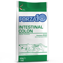 Forza 10 Intestinal Colon sausas maistas katėms, sergančioms virškinamojo trakto ligomis, 400 g