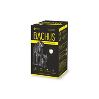 Bachus Immunity-Resistance pašaro papildas imunitetui šunims ir katėms, N60
