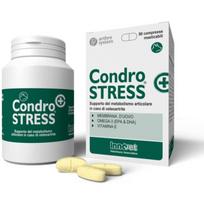 Innovet CondroStress papildas šunims apsaugantis sąnarius, N60