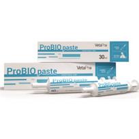 VetaPro ProBio Paste papildai šunims ir katėms, palaikantys aktyvų virškinamąjį traktą, 30 ml