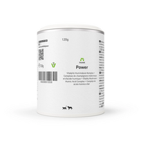 Inuvet Power papildas šunims ir katėms, imunitetui stiprinti, 4 g x 30