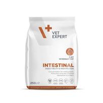 VetExpert Veterinary Diet Intestinal sausas maistas katėms, turinčioms virškinamojo trakto sutrikimų, 250 g