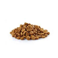 Family Dog Standart Adult Mini sausas maistas mažų veislių šunims, 10 kg